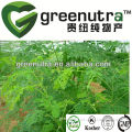 high quality natural moringa leaf powder
